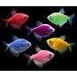 Pez Monja Fluorescente para acuarios