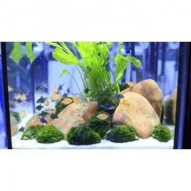 Arena De Silice 10kg Decorativa Para Acuarios Plantados Y De Peces