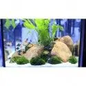 Arena De Silice 10kg Decorativa Para Acuarios Plantados Y De Peces