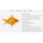 NEOPLEX 10GR SEACHEM MEDICAMENTO PECES