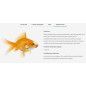 NEOPLEX 10GR SEACHEM MEDICAMENTO PECES