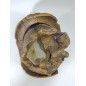 DECORACION ACUARIO CALABERA PIRATA 15X13X13