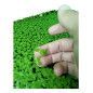 PLANTA ACUARIO FLOTANTE LEMNA MINOR LENTEJA AGUA