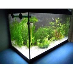 Arena de Silice 5Kg