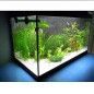 ARENA SILICE 10KG DECORATIVAPLANTADO Y PECES