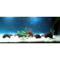 ARENA SILICE 10KG DECORATIVAPLANTADO Y PECES