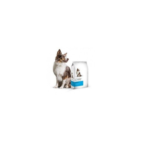 DIAMOND CARE RENAL PERROS ADULTOS ENFERMEDAD RIÑON 1 KILO