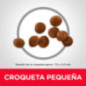 ALIMENTO HILLS PUPPY TOY BREED 4,5LB CACHORRO PEQUEÑOS RAZAS PERROS
