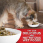 ALIMENTO HILLS ADULTOS SMALL TOY & BREED LIGHT 4,5LB RAZA PEQUEÑA PERROS