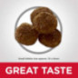 ALIMENTO HILLS ADULTOS LAMB & RICE SB 4,5LB PERROS