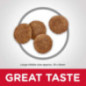 ALIMENTO HILLS ADULTOS LARGE BREED LAMB & RICE 33LB PERRO RAZA GRANDE