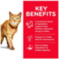 ALIMENTO HILLS GATOS KITTEN 3,5LB CACHORROS ALIMENTO HILLS GATOS KITTEN 3,5LB CACHORROS