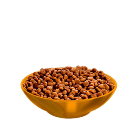 ALIMENTO HILLS GATOS 7+ MATURE 4lb