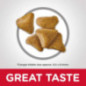 ALIMENTO HILLS GATOS 7+ MATURE 4lb