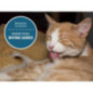 ALIMENTO HILLS GATOS 7+ MATURE 4lb