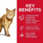 ALIMENTO HILLS YOUTHFUL V ADULTO 7+ 3lb GATOS