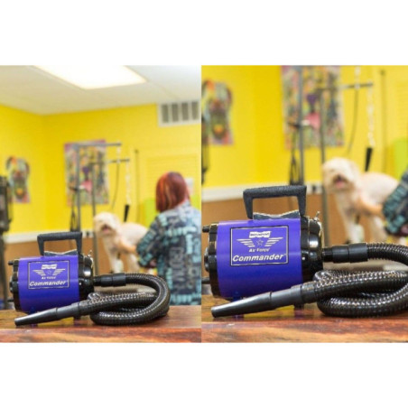 SECADORA METRO AIR FORCE 4.0 HP MORADO 1 VEL