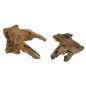 TRONCO ACUARIO 7-15CM APROXIMADAMENTE